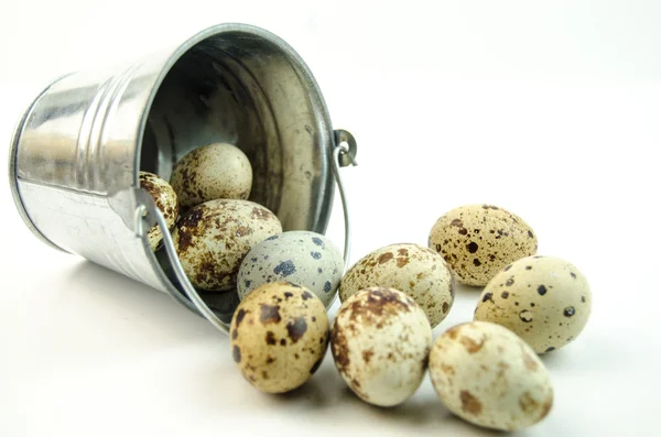 Ovos de codorna manchados — Fotografia de Stock