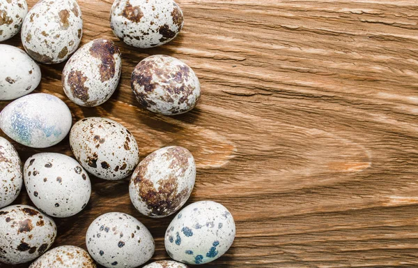 Ovos de codorna manchados — Fotografia de Stock