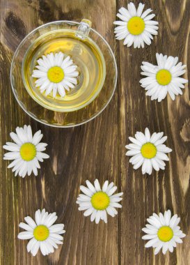 Papatya ile yaz çay