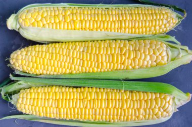 Karanlık bir arka plan üzerinde Mısır