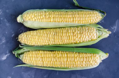 Karanlık bir arka plan üzerinde Mısır