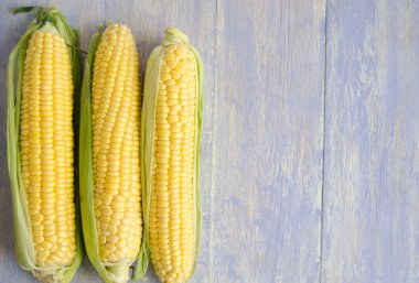 Mısır koçanı arka plan ahşap duvar üzerinde