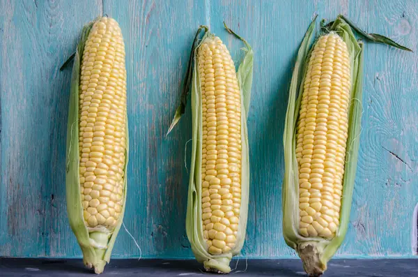 Corn cobs on background wooden wall — Stock Photo, Image