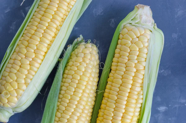 Corn on a dark background — Stock Photo, Image