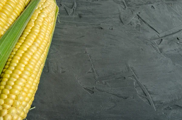 Corn on a dark background — Stock Photo, Image