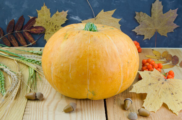 Pumpkin on wooden table