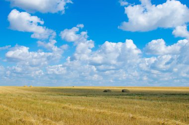 Sahada saman yığınları.