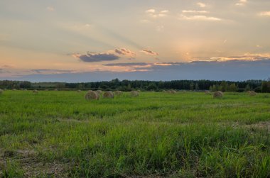 Samanlık günbatımı de akşam sahada.