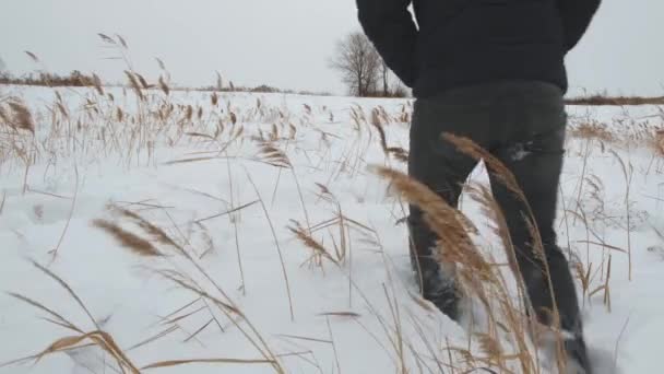 Persoon Loopt Alleen Winter Door Diepe Sneeuw Bevriezing Bij Winderig — Stockvideo