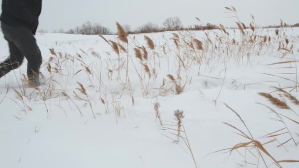 Pessoa Caminha Sozinha Inverno Através Neve Profunda Congelamento Tempo Ventoso — Vídeo de Stock