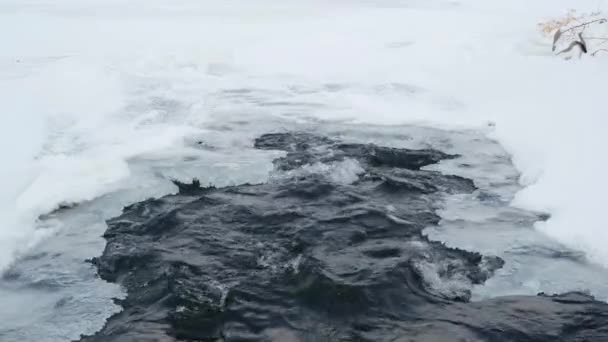 Hielo Descongelado Río Flujo Rápido Agua Bajo Hielo Invierno Deshielo — Vídeo de stock