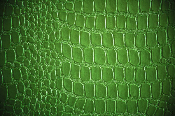 Абстрактный фон зеленой кожи рептилии