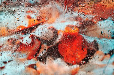 Düşmüş, sararmış sonbahar yağmurdan sonra geride ıslak cam bırakır. Arka planda yapraklı sisli camlar..