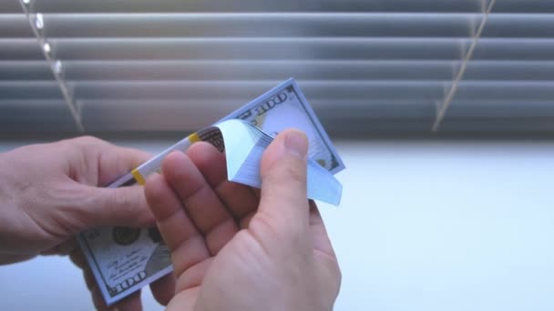 Stack Hundred Dollar Bills Your Hands Success Enjoyment Banknotes — Stock Video