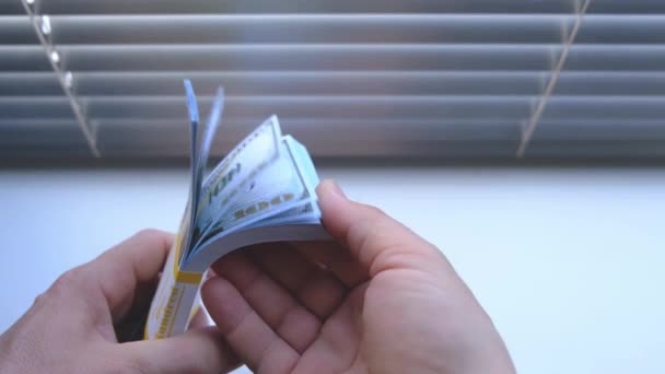 Stack Hundred Dollar Bills Your Hands Success Enjoyment Banknotes – Stock-video