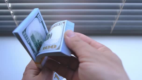 Stack Hundred Dollar Bills Your Hands Success Enjoyment Banknotes — Video Stock