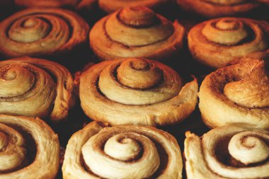 Tarçınlı börekler fırında, ev yapımı kekler