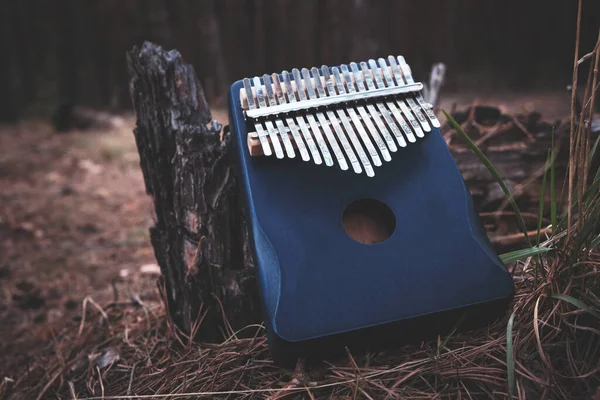 Kalimba Uno Strumento Musicale Africano Nella Foresta Vicino All Albero — Foto Stock