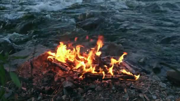 Brännande Eld Och Embers Bakgrund River Stones Och Stormy River — Stockvideo