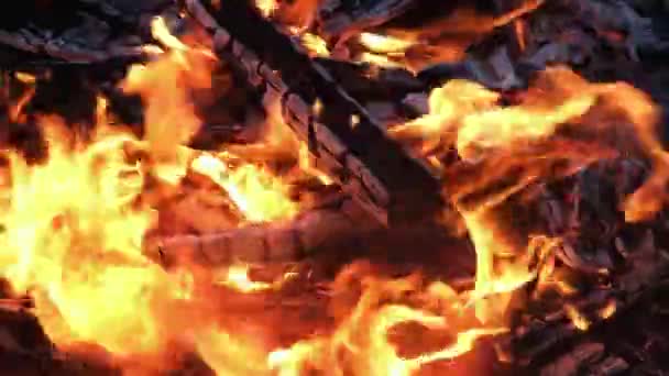 Pozadí Plamen Hořící Oheň Zavřít Žhavé Uhlí — Stock video