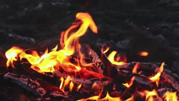 Rozpalone Ognisko Brzegu Rzeki Stormy Czerwone Płomienie Tle Wody — Wideo stockowe