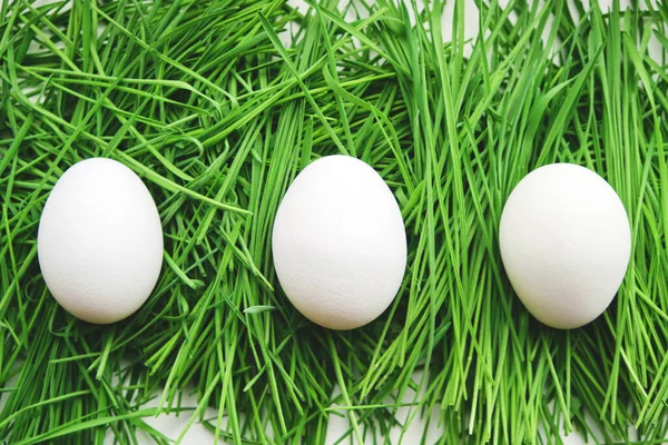 新鮮な緑の草の上に3羽の鶏の卵 — ストック写真