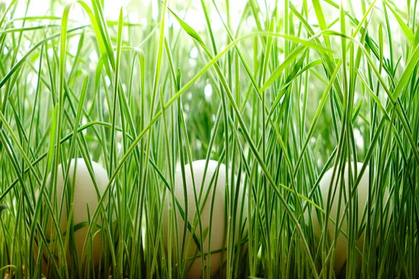 Tre Uova Pollo Sull Erba Verde Appena Tagliata — Foto Stock