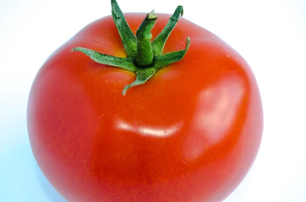 흰 바탕에 신선 한 토마토 — 스톡 사진
