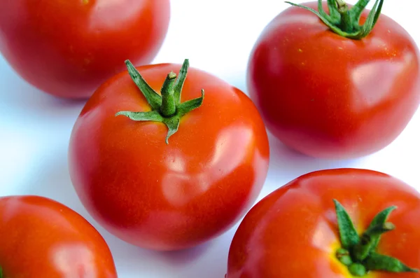 Frische Tomate auf weißem Hintergrund — Stockfoto