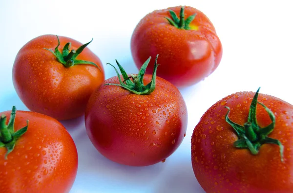 Frische Tomate auf weißem Hintergrund — Stockfoto