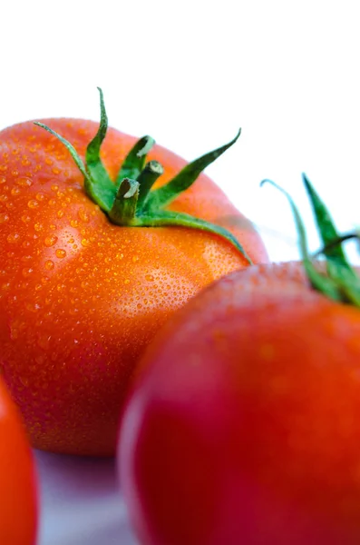 Frische Tomate auf weißem Hintergrund — Stockfoto