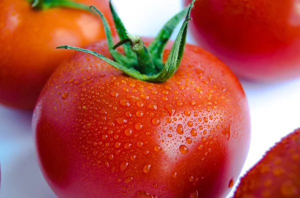 Tomate fresco sobre fundo branco — Fotografia de Stock