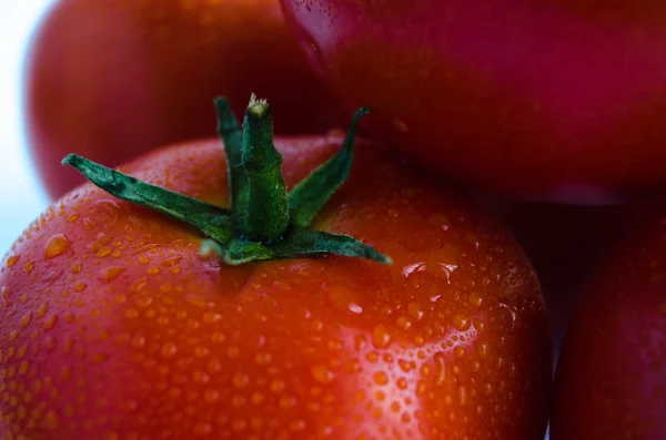 Frische Tomate auf weißem Hintergrund — Stockfoto