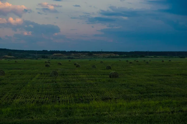 Stóg siana — Zdjęcie stockowe