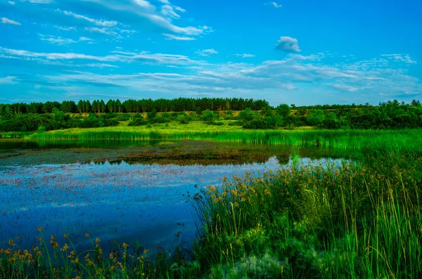 Lago — Fotografia de Stock