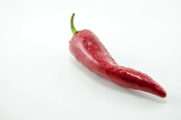 빨간 peper — 스톡 사진