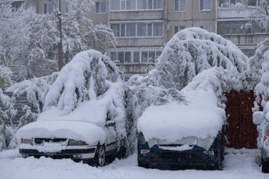 Cars covered with snow in city on winter day