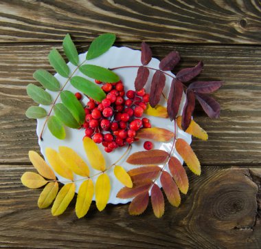 Sonbahar Yaprakları