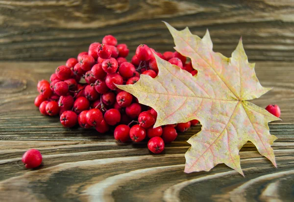 Hojas de otoño —  Fotos de Stock