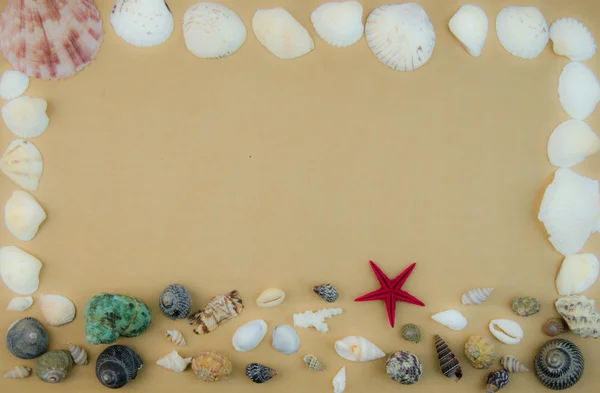 Marco de conchas —  Fotos de Stock