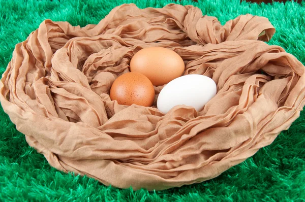 Bej, kahverengi, beyaz tavuk yumurta yuvada yeşil arka plan bez torba yapılmış Stok Fotoğraf