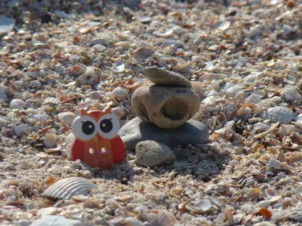 Holzkauz und Steine im Sand — Stockfoto