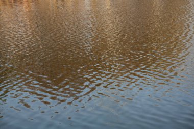 Kahverengimsi bir yüzey boyunca dalgalanan suyun sakin bir görüntüsü yansımaları ve nazik hareketleri yakalıyor. Doğa, manzara ya da açık hava yaşam tarzı için idealdir. Yüksek kalite fotoğraf