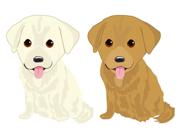 Retrato de dos lindos cachorros labradores — Vector de stock