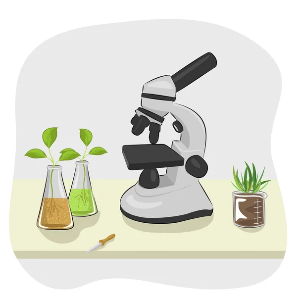 Микроскоп, пипетка и растения, растущие в лабораторных колбах на столе — стоковый вектор