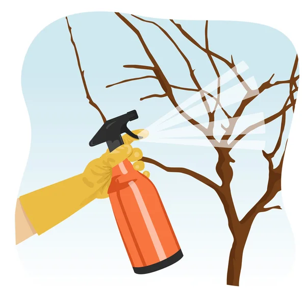 Hand spraying tree in garden with protecting spray — Stock Vector