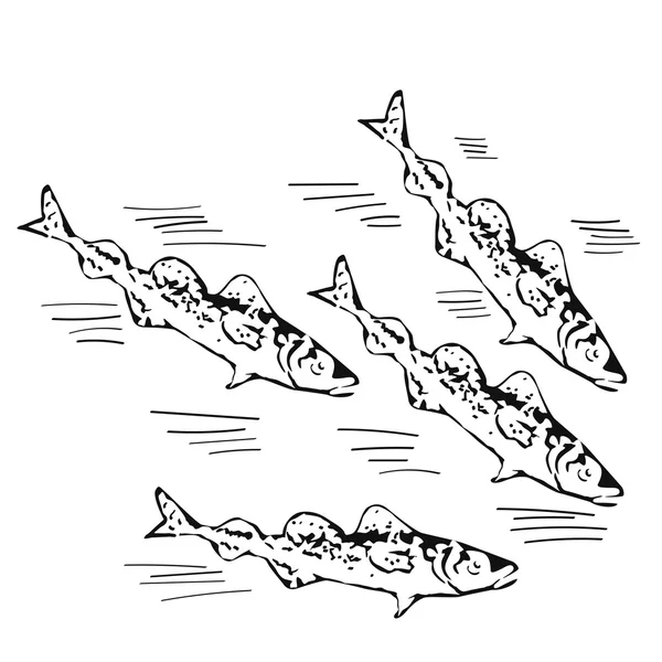 Vector hand drawn school of northen fish — Stock Vector