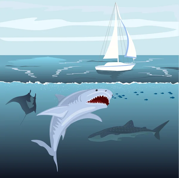 Hungriger Hai greift Yachtschiff aus Ozeanwasser an — Stockvektor