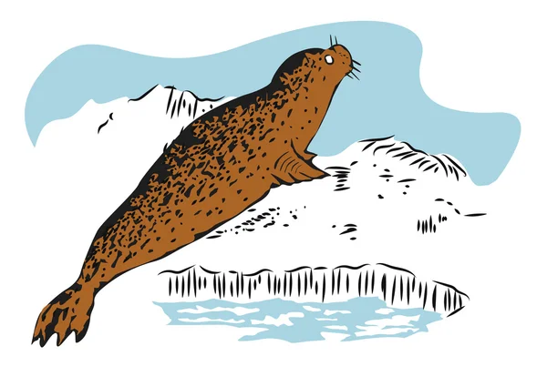 Farbskizze einer Robbe, die auf Eis liegt. Handgezeichnete Illustration — Stockvektor