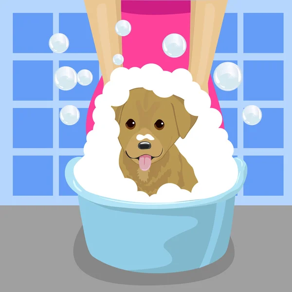 在蓝色的洗手盆浴室肥皂泡沫的宠物美容师洗狗 — 图库矢量图片